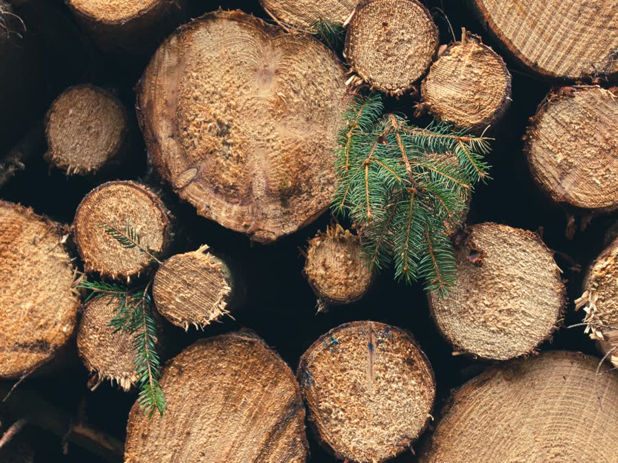 Stacked cross-sections of Nordic timber logs